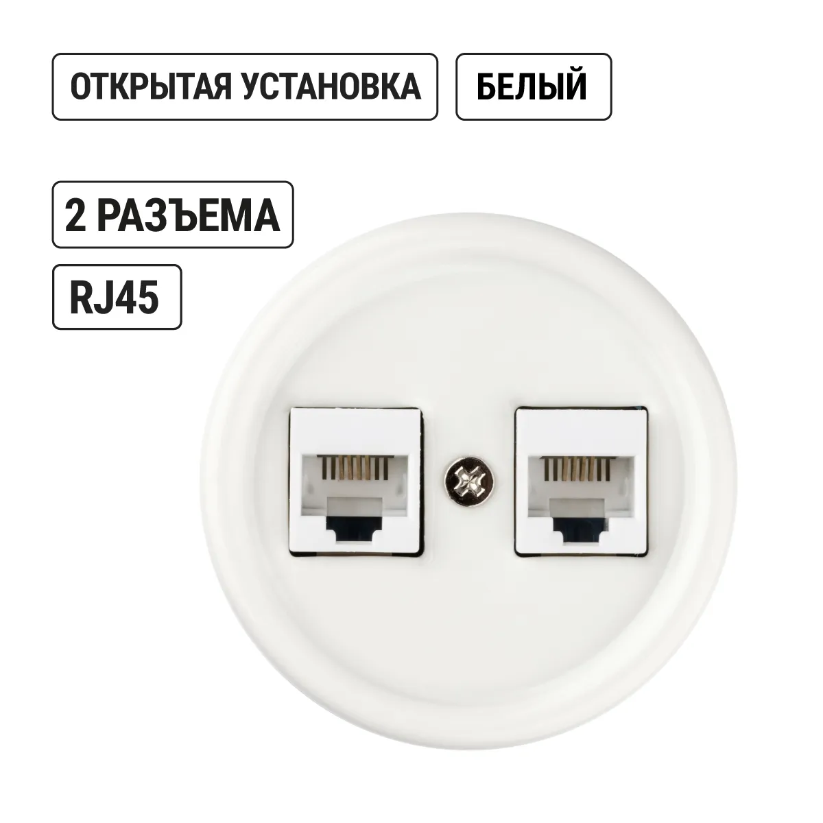 Розетка подвійна комп'ютерна RJ45 біла «Болонь» TDM